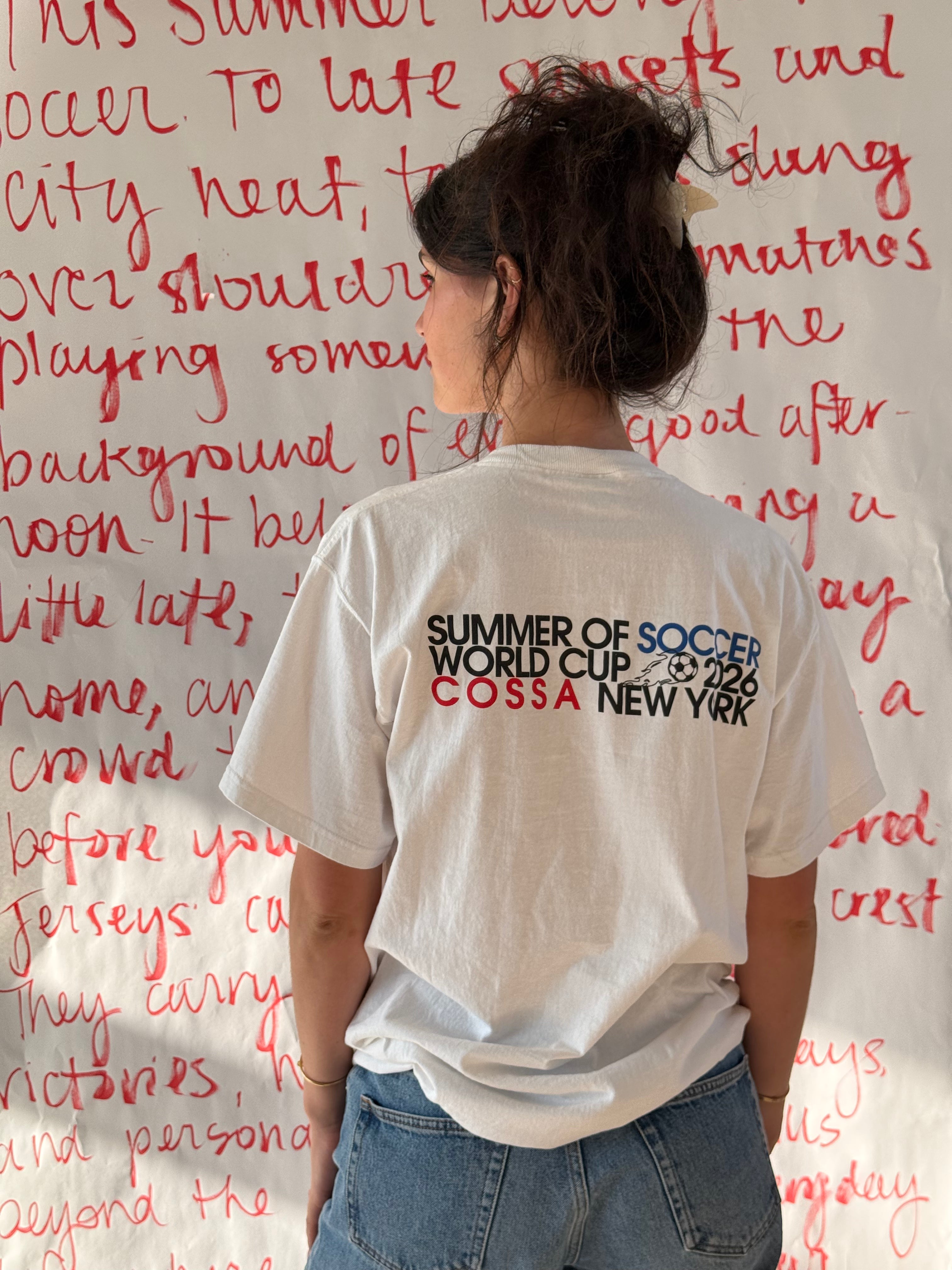 Summer of Soccer Vintage Tee: Argentina