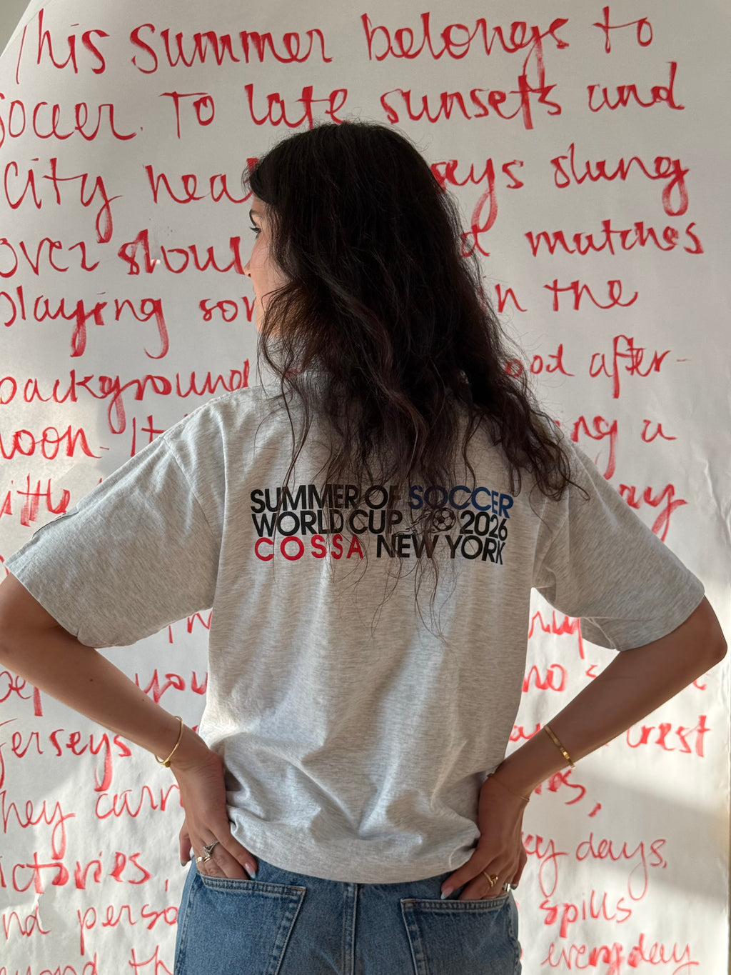 Summer of Soccer Vintage Tee: Argentina