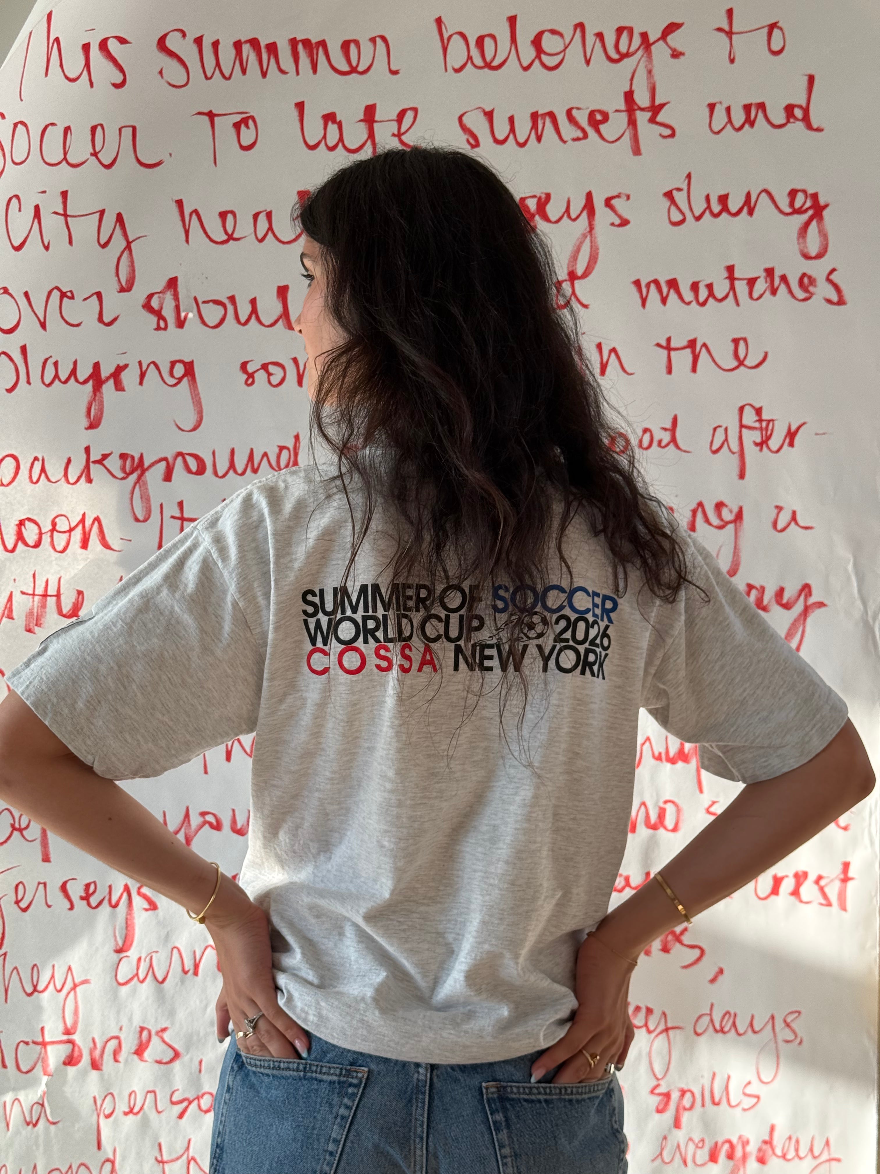 Summer of Soccer Vintage Tee: Argentina